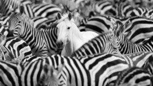 Comment développer l’intégration dans les églises ?